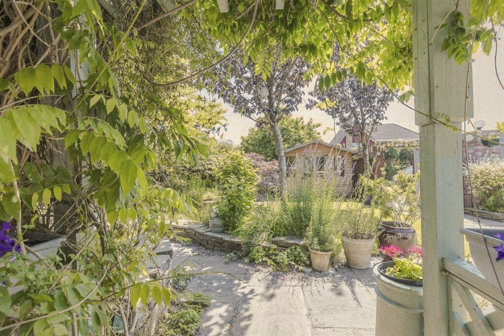 A garden seen through a wisteria-covered pergola